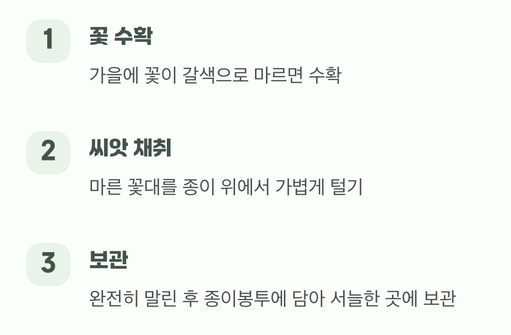 내년을 약속하는 검은 보석 거두기