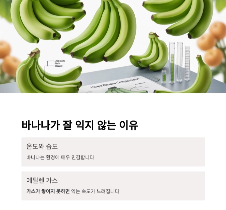 사과와 종이 봉투로 덜 익은 바나나 빠르게 익히는 법