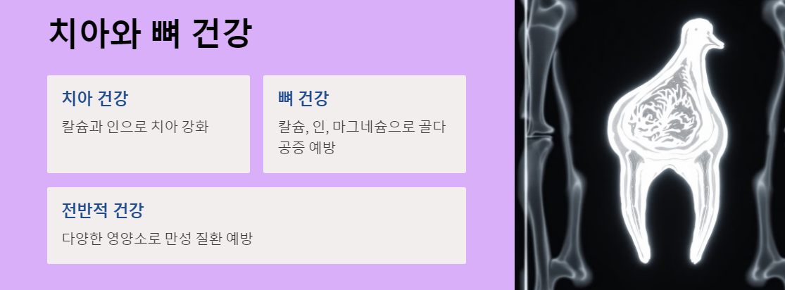 치아와 뼈 건강