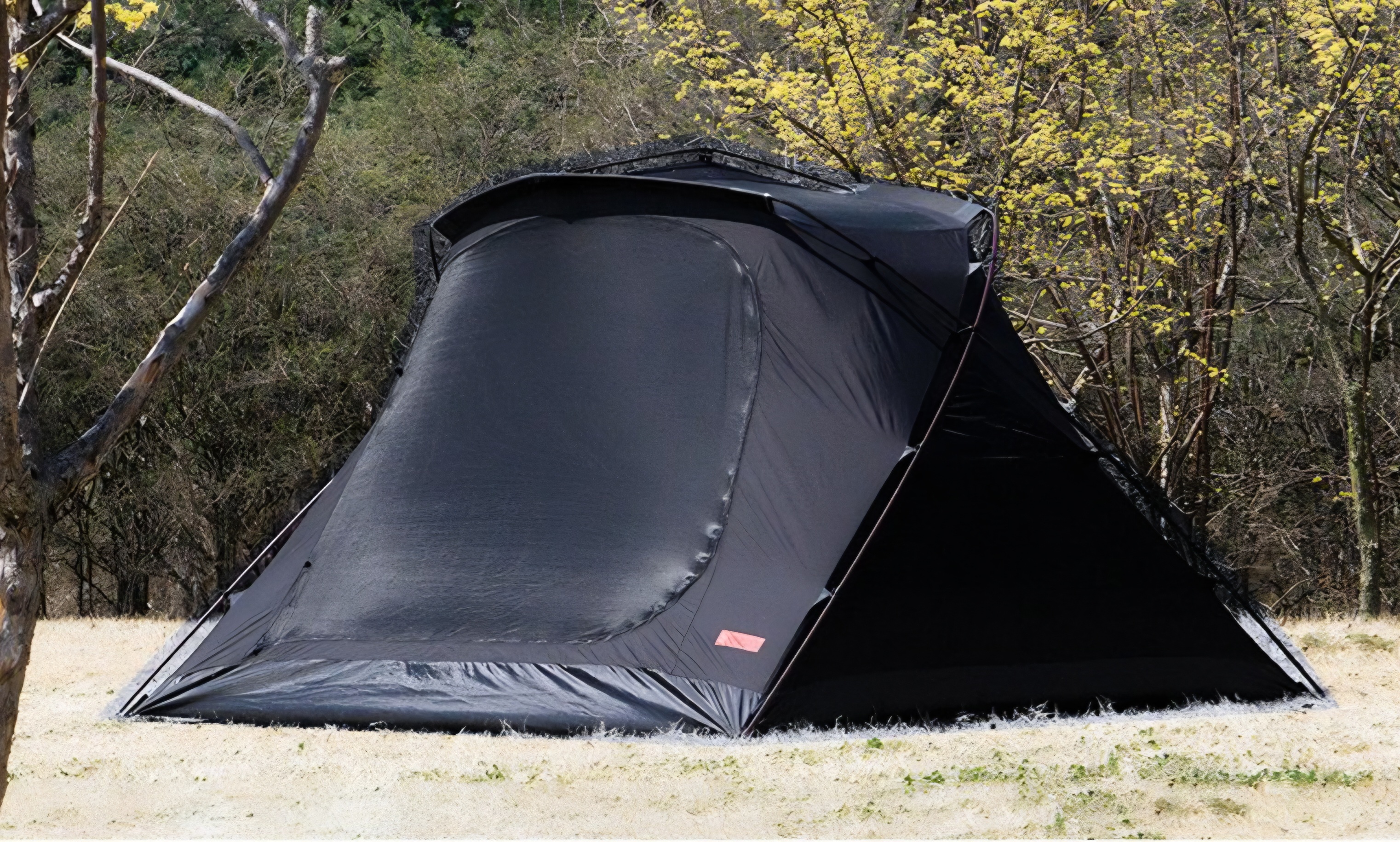 우리 가족의 캠핑 역사를 같이 한 지작이