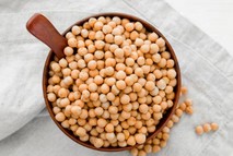 병아리콩 단백질