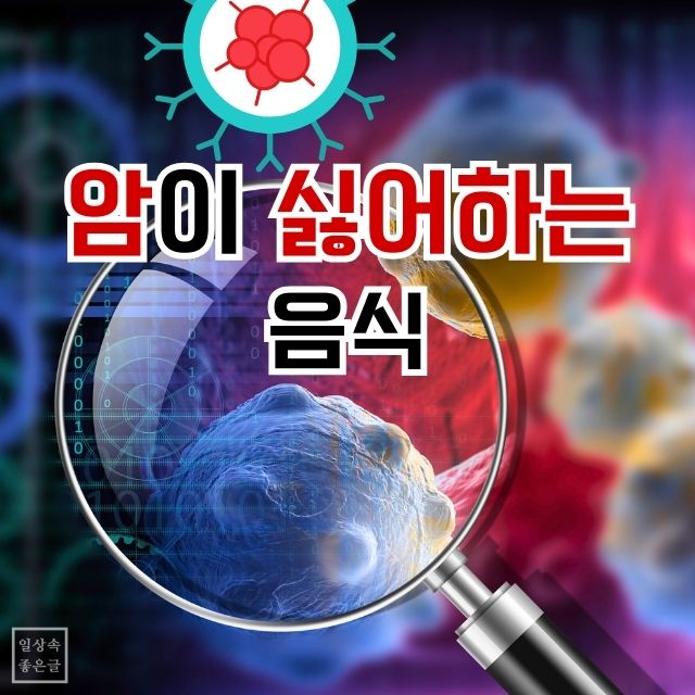 암이 싫어하는 음식 문구가 있는 세포 이미지와 확대경 배경의 건강정보 이미지
