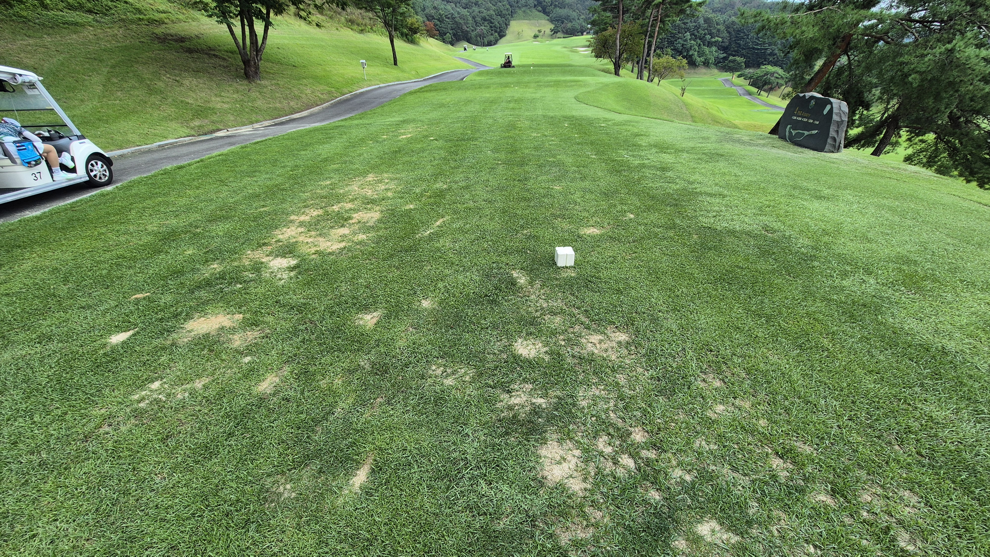 동원썬밸리cc 라운드 후기