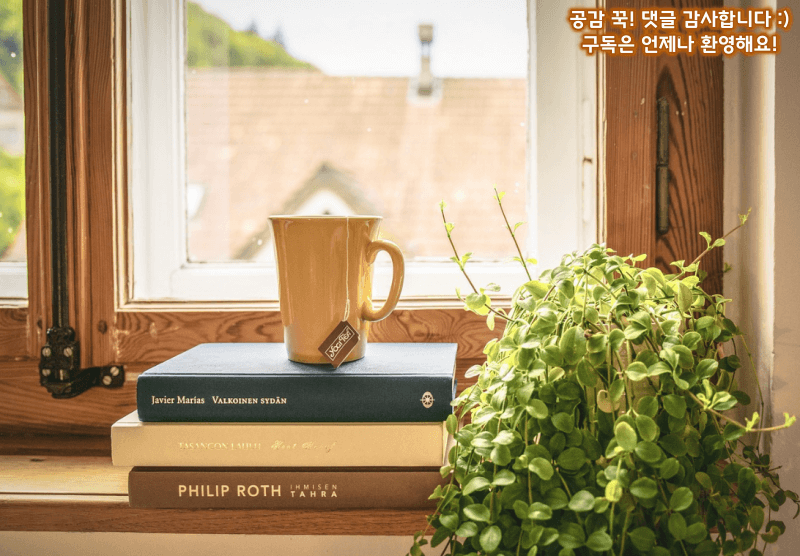 알아두면 일상 생활 속 꿀팁