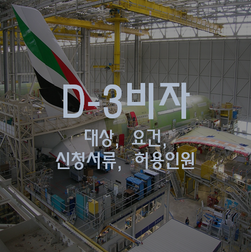 D3 비자