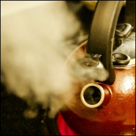 변기막혔을때 뚫는법 뚫어뻥 3가지