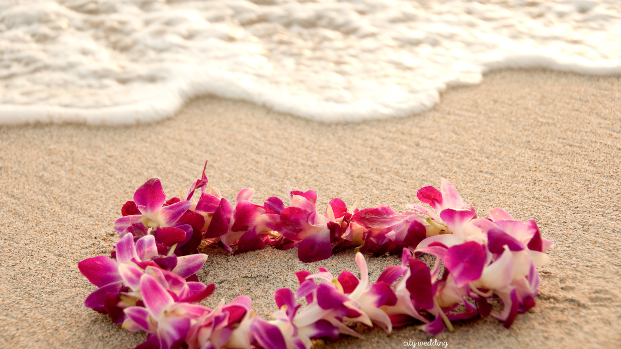 특별한웨딩문화 관련사진