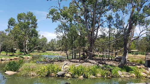 더보 타롱가 주