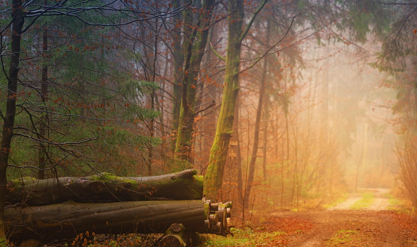 신뢰감을 통한 관계 구축