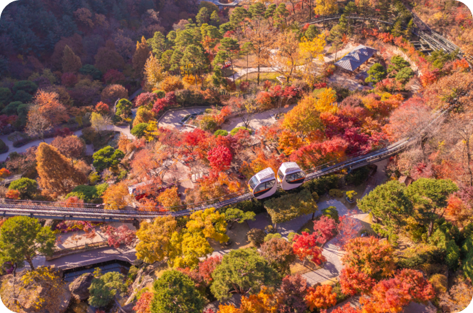 화담숲에서 10월 24일부터 11월 16일까지 단풍 축제가 열린다. [ 사진=화담숲=매일경제]