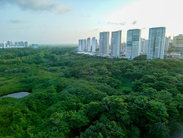 순환 경제: 폐기물 없는 사회를 향한 패러다임 전환