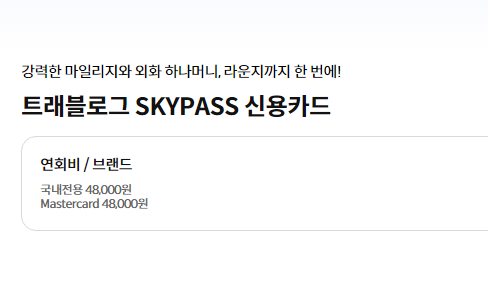 하나 트래블로그 SKYPASS 신용카드 2