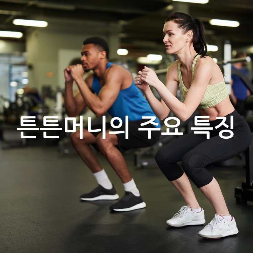 튼튼머니 적립방법과 꿀팁