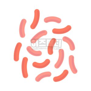 백일해 증상