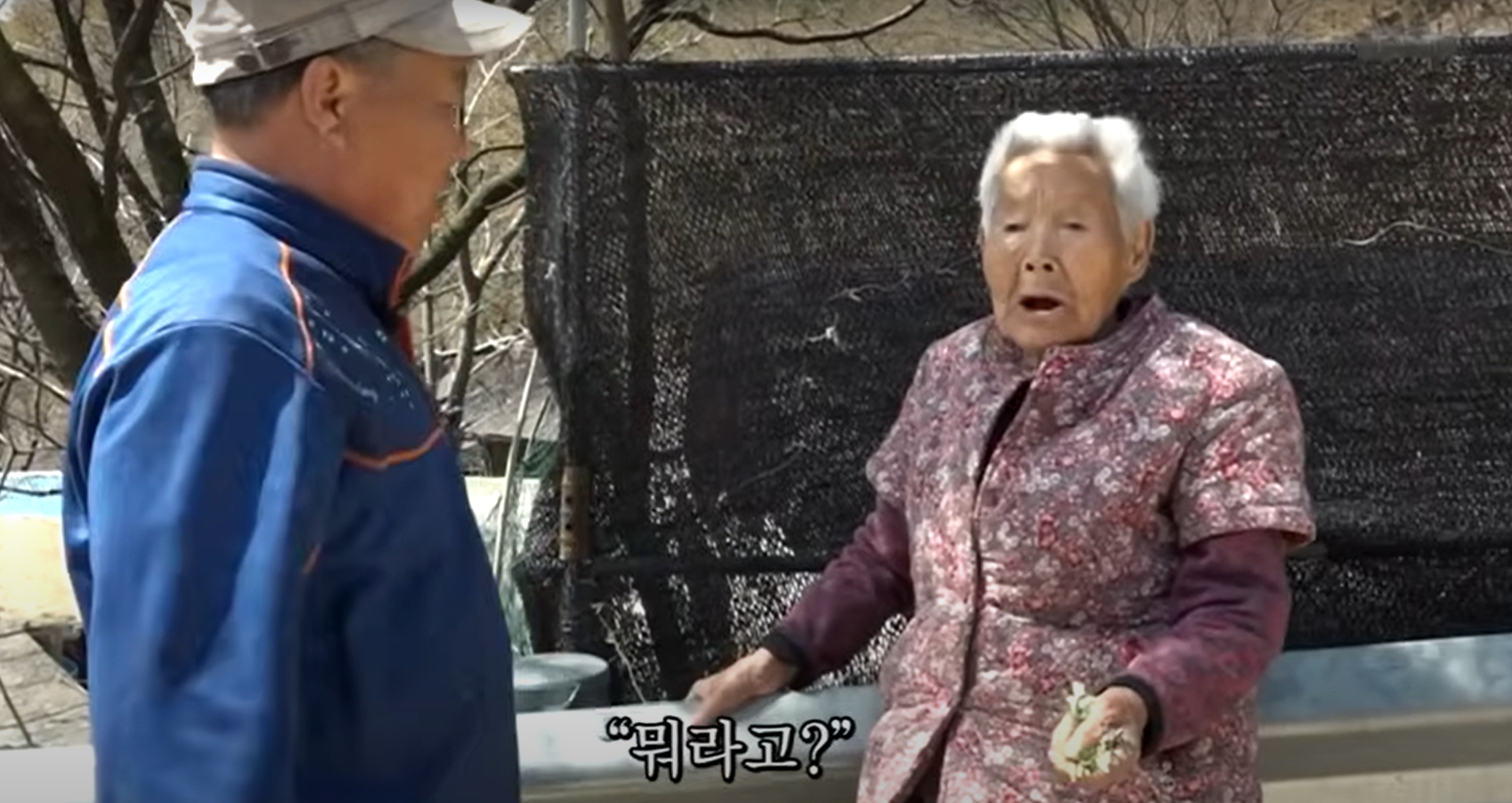 인간극장 그게 정인 게지 백숙집, 위치 & 가격 총정리!