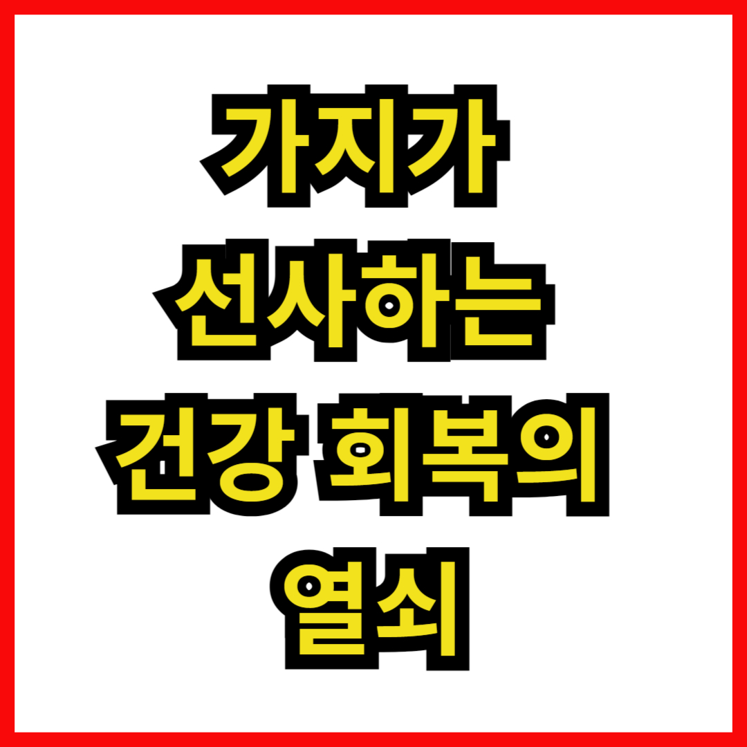 가지가 선사하는 건강 회복의 열쇠