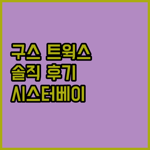 구스 트윅스 솔직 후기 시스터베이 숙