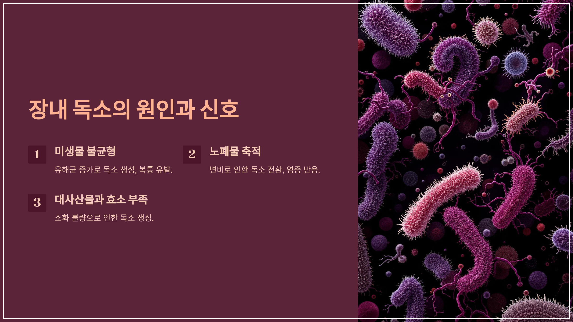배가 콕콕 쑤시고 더부룩? 장 독소 신호와 개선에 도움이 되는 성분 알아보기