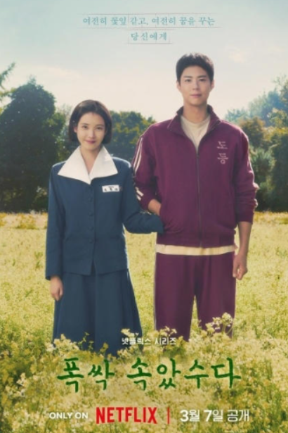 폭싹 속았수다 관련 사진