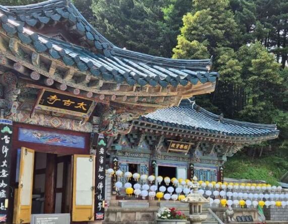 금산 가볼만한곳 베스트 10