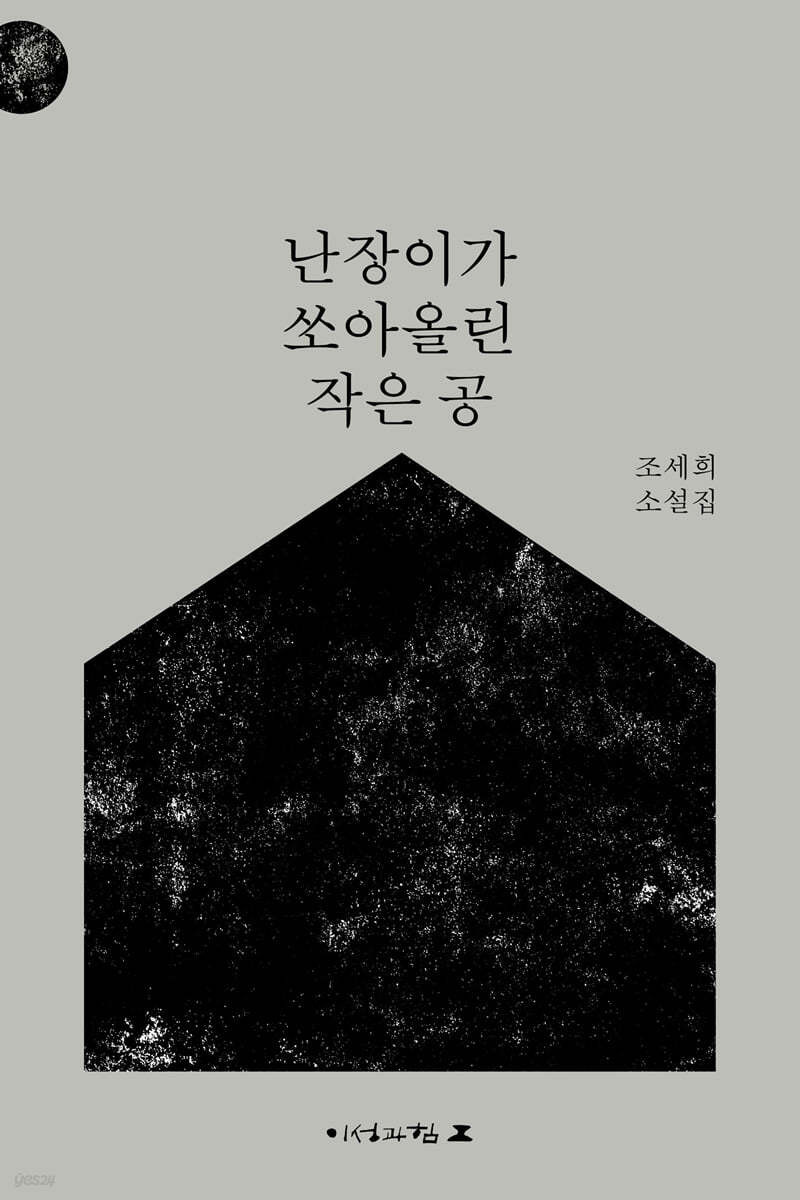 난장이가 쏘아올린 작은 공