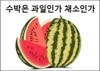 수박은 과일인가 채소인가