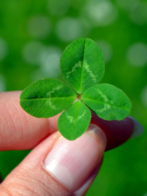 2023년 근로·자녀장려금 신청하기