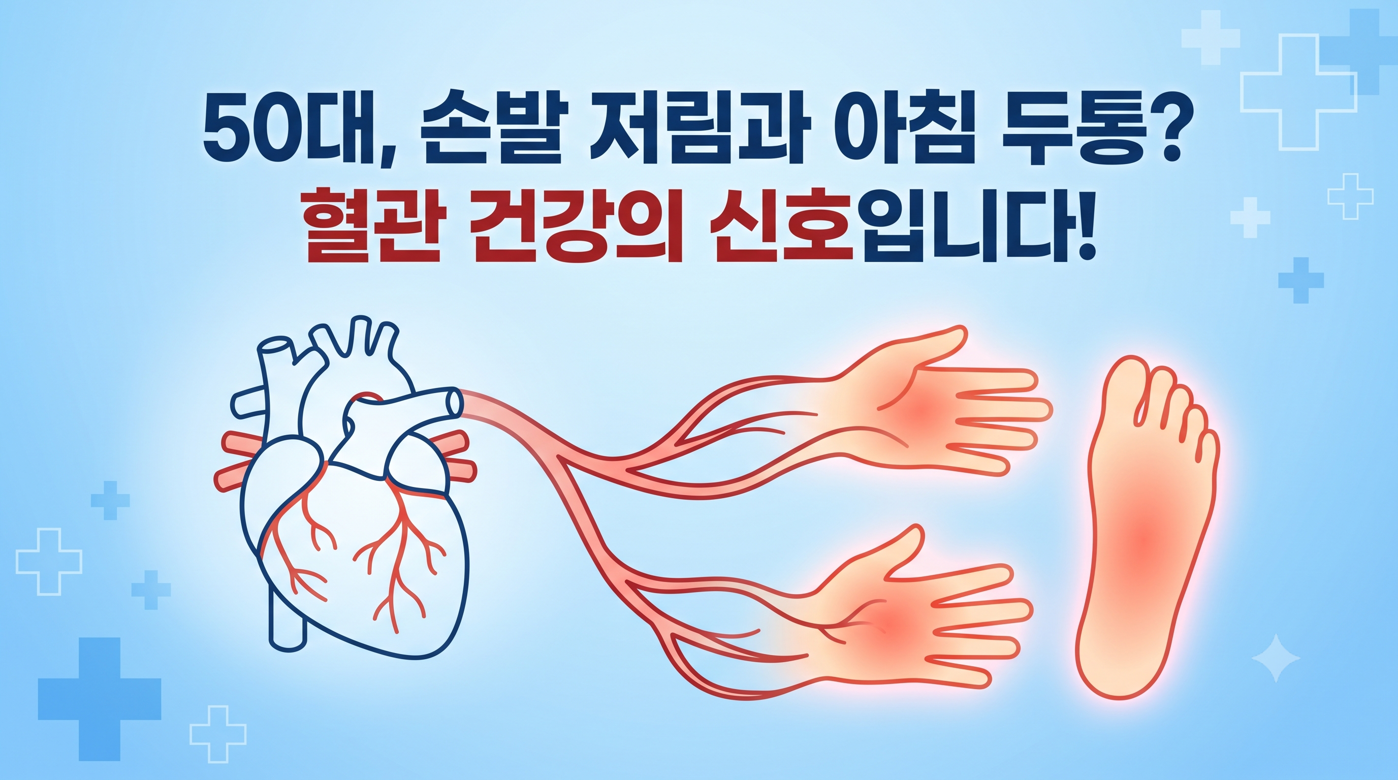 손발 저림과 혈관 건강 인포그래픽