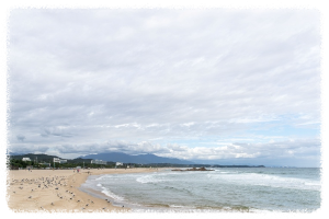 등대와 소나무 숲이 어우러진 하조대해변