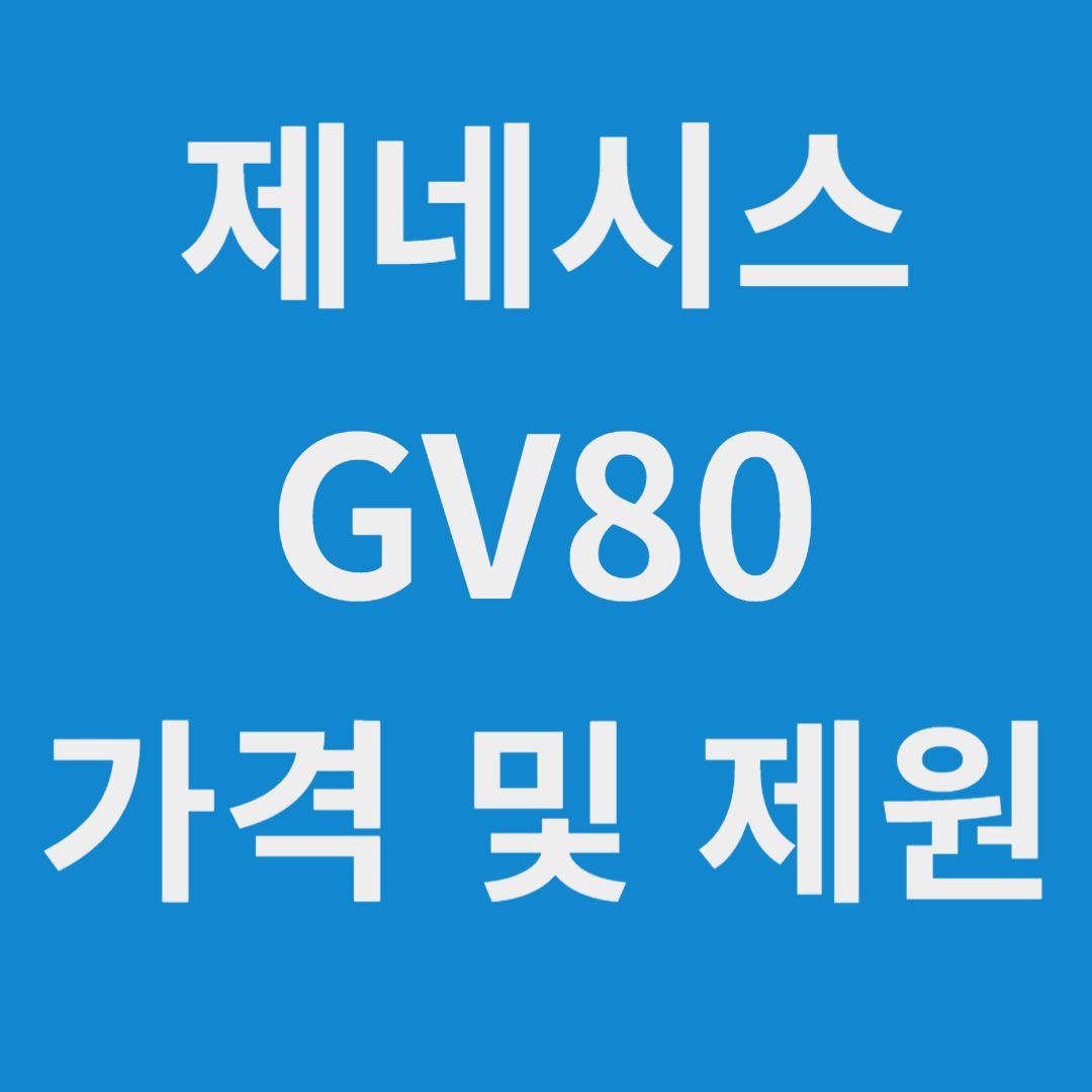 제네시스 GV80