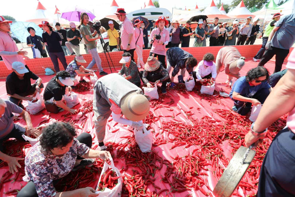 청양고추구기자 문화 축제