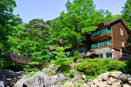 대관령 휴양림 4