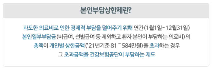 본인부담 상한제