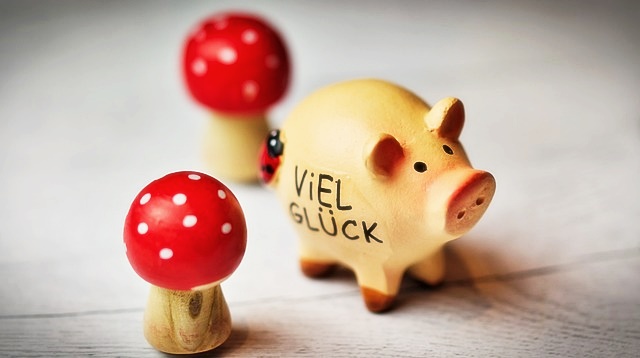 청년월세 한시 특별지원