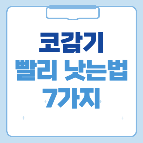 코감기 빨리 낫는법