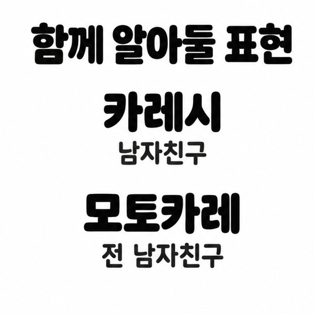 카레시는 남자친구, 모토카레는 전 남자친구라는 뜻을 위아래로 배치한 설명