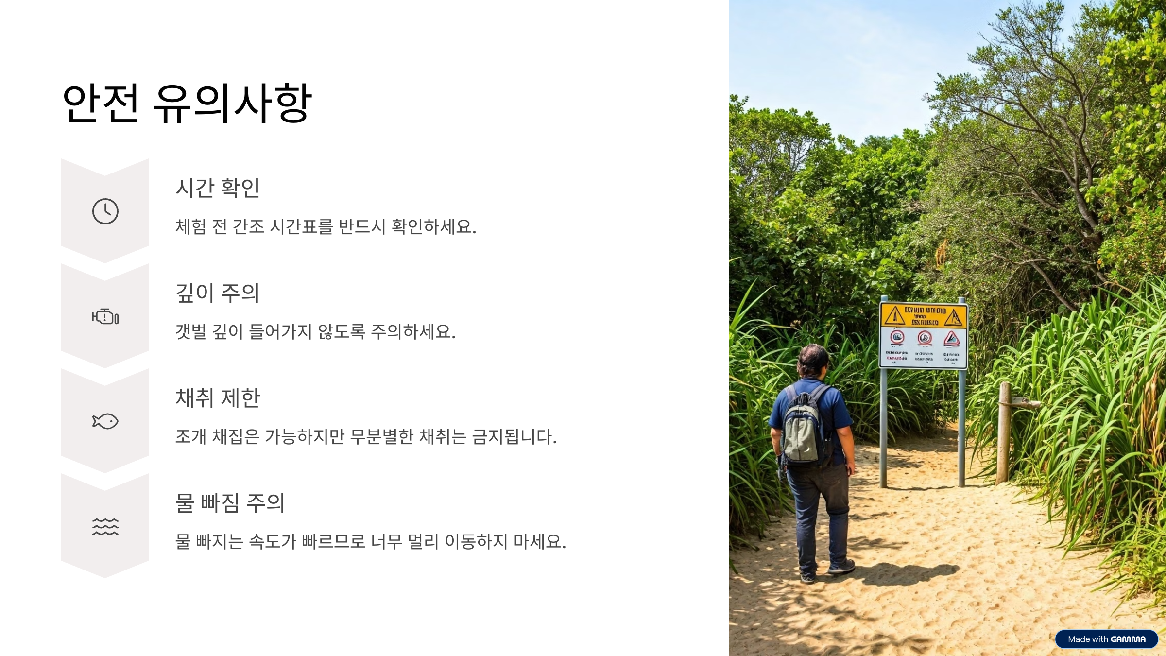 선유도 갯벌 체험 시간표 총정리 가족과 함께 즐기는 자연 체험 여행