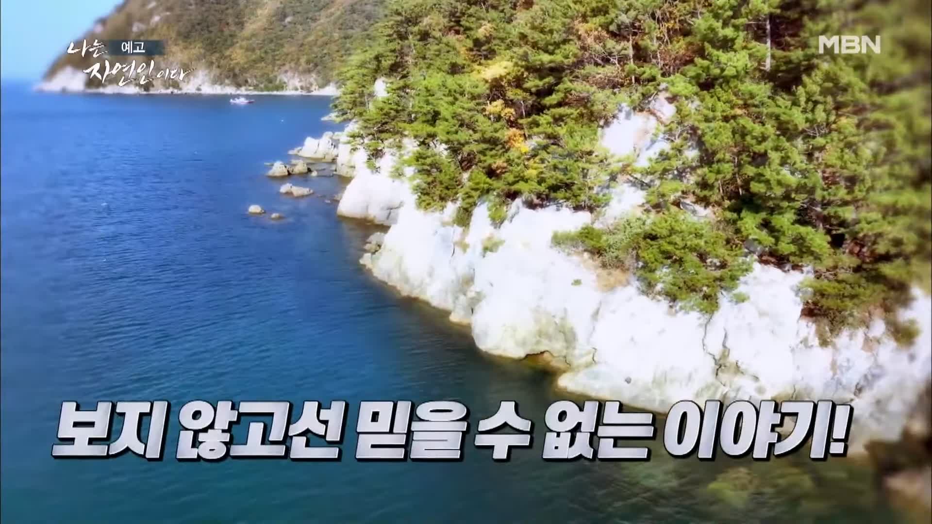 이승윤 윤택 나는 자연인이다 530회 바다에 빠진 그 사나이 자연인 정영희 소개 및 출연 다시보기