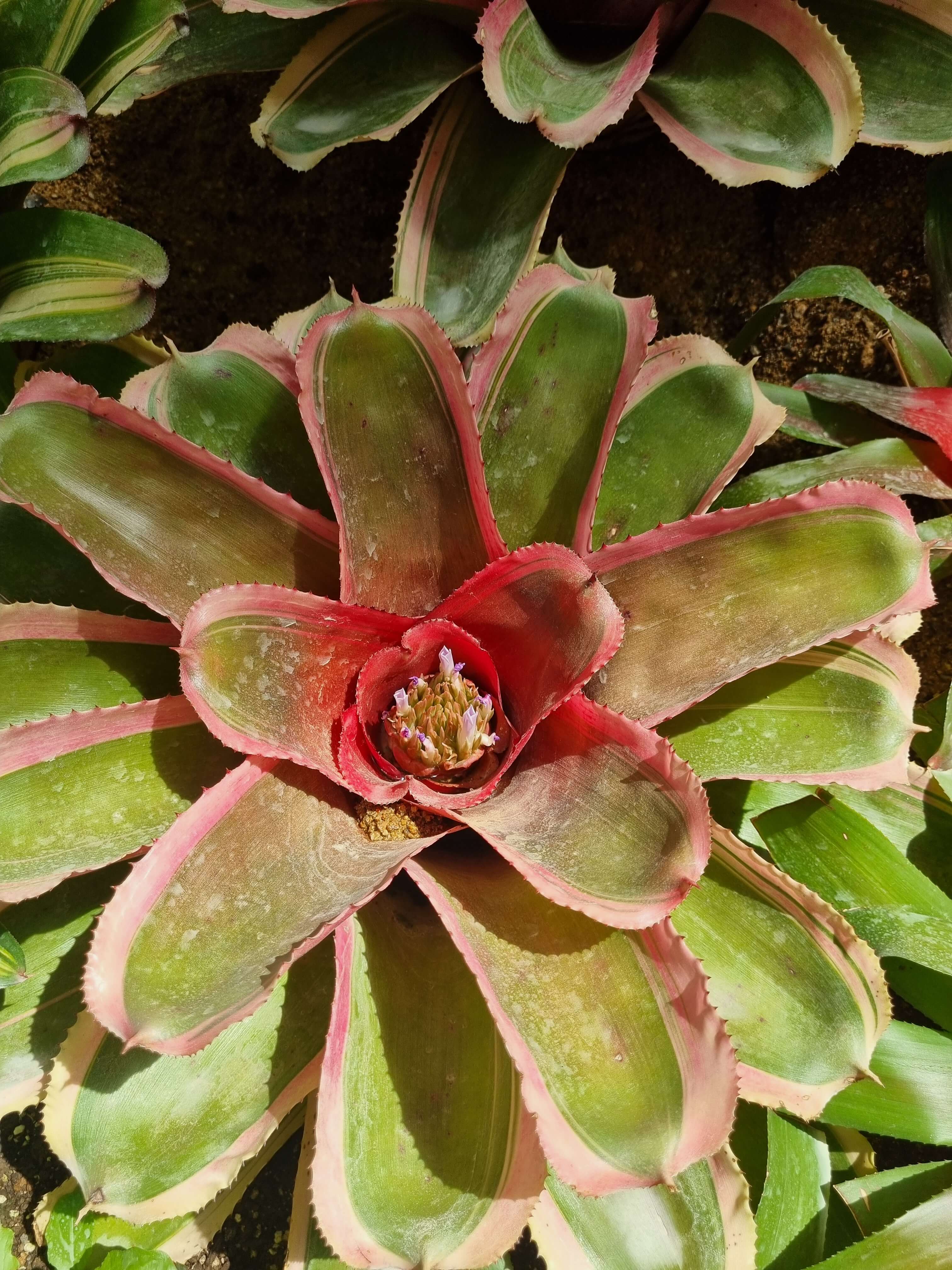 부천 가볼만한 곳 자연생태공원