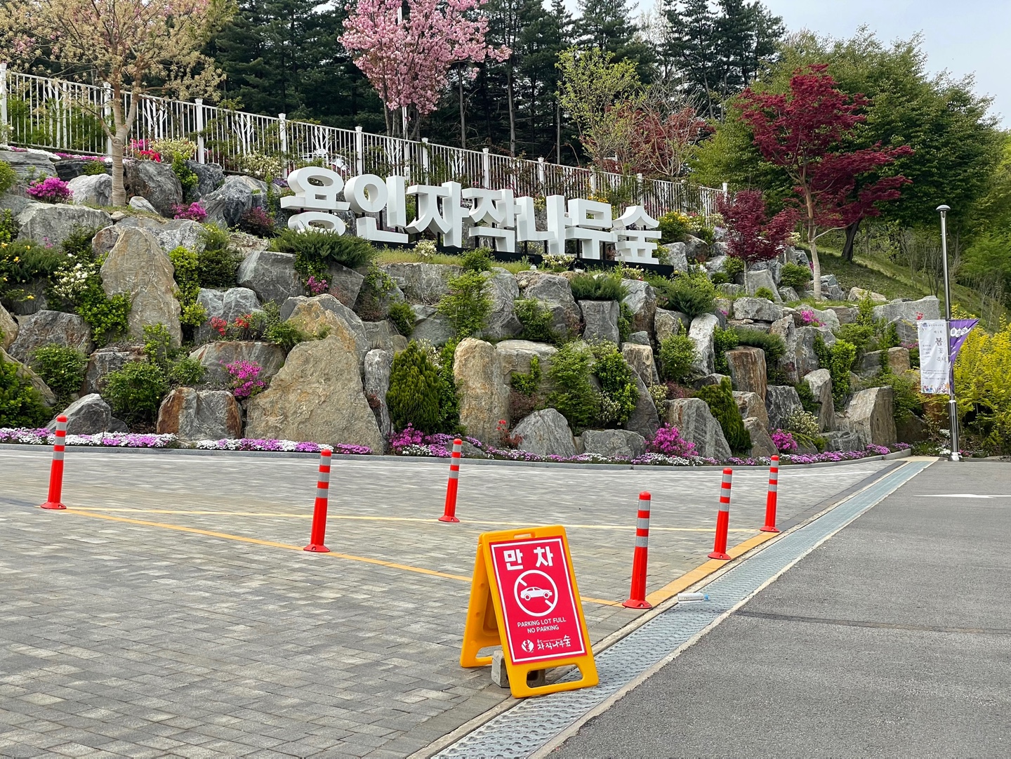 용인 자작나무숲 베툴라 대형 베이커피 카페