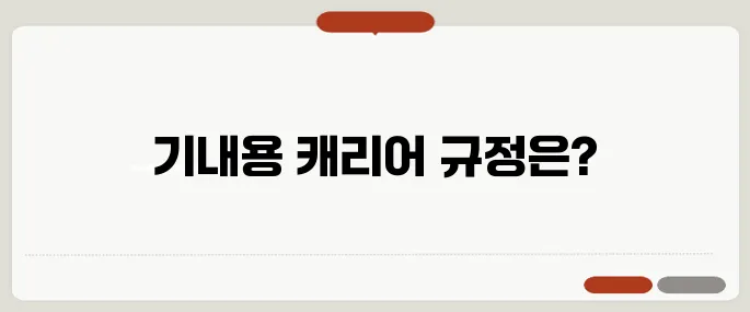 기내용 캐리어 사이즈 주의사항 알아두면 유용해요