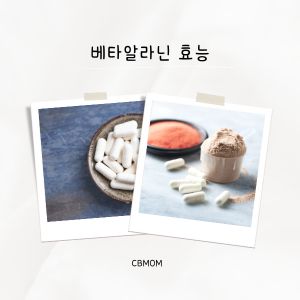 베타알라닌 효능