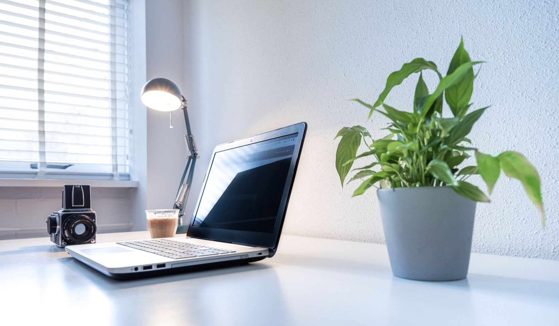 책상 위 식물 하나가 일의 효율을 높이는 이유