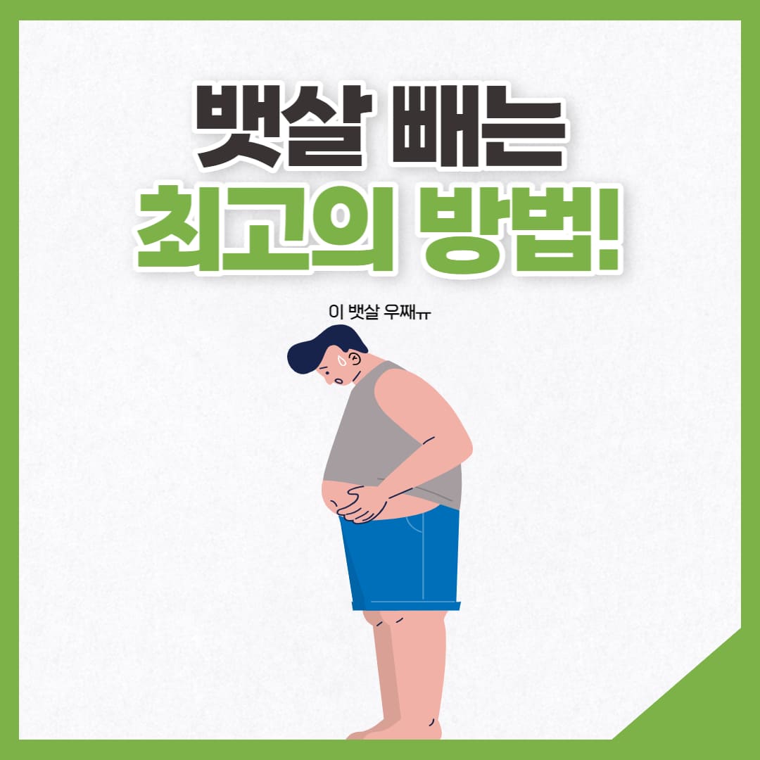 뱃살 이미지