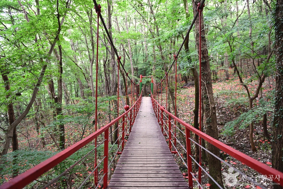 함평 가볼만한곳 베스트10