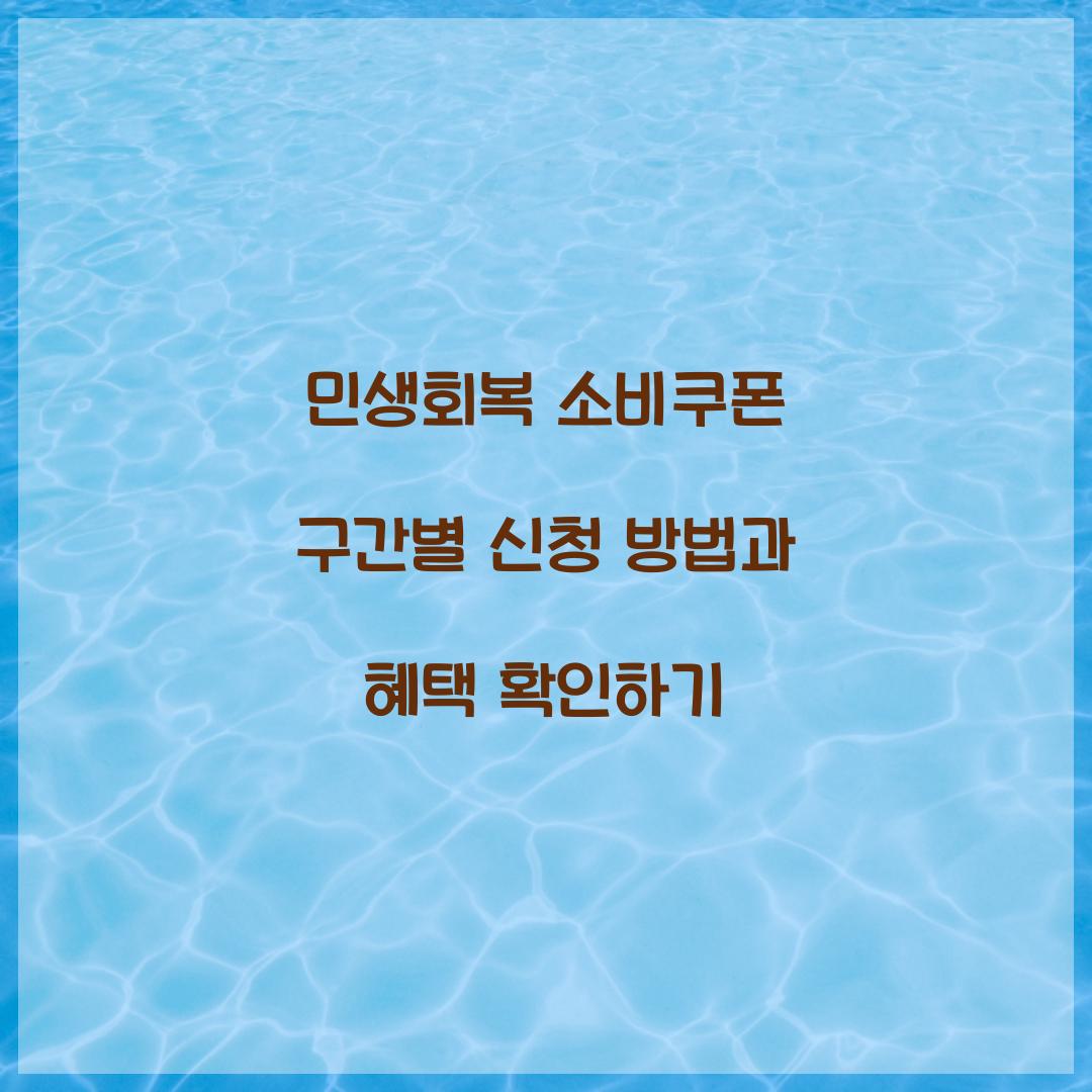 민생회복 소비쿠폰 구간