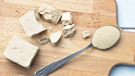 맥주효모의 효능과 부작용