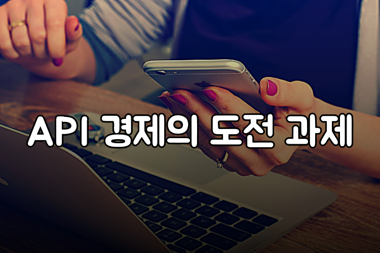 API 경제의 도전 과제