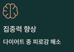  다이어트 차 3종 