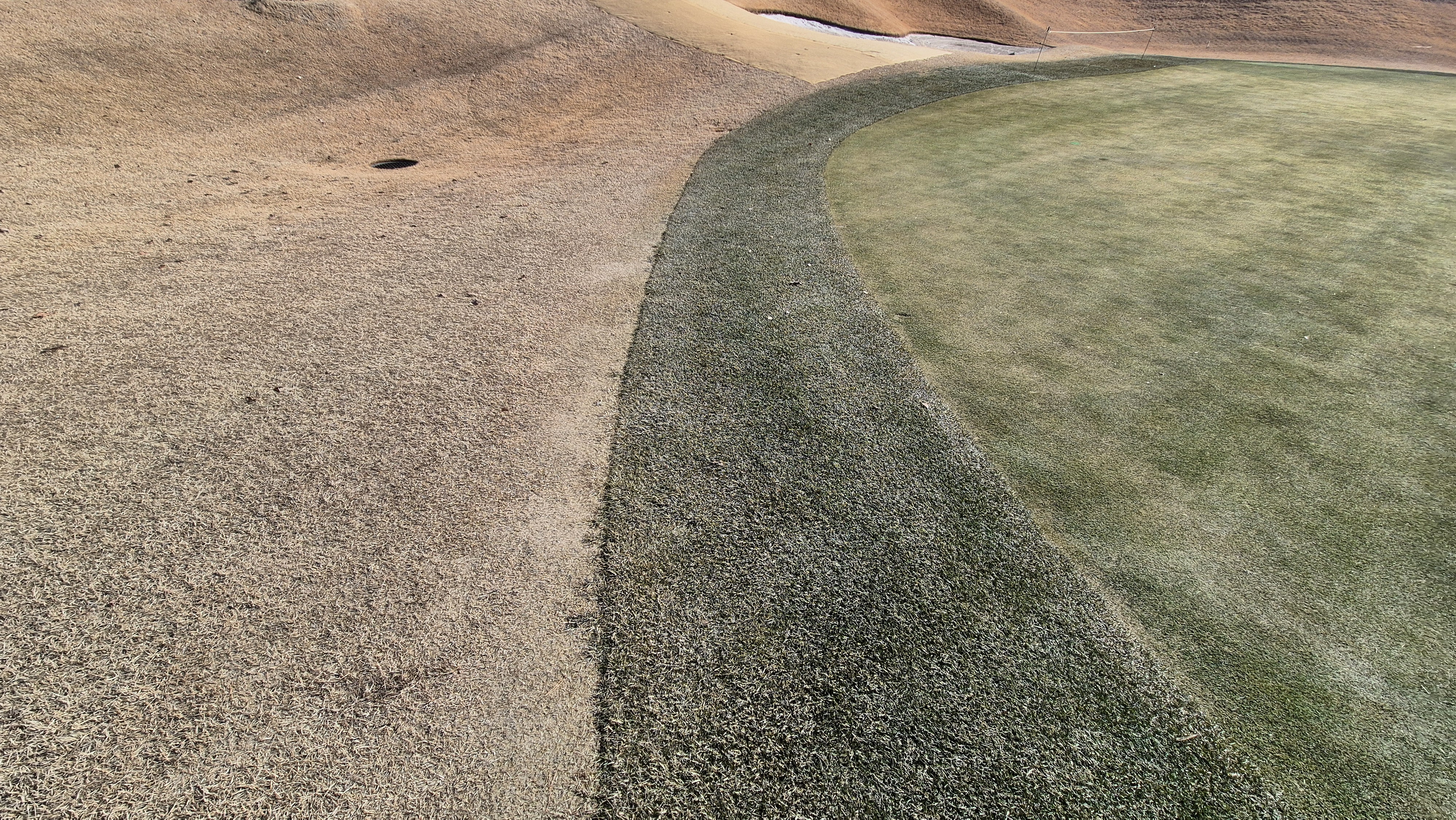 더크로스비gc 아리아-샬롯 코스 그린관리상태